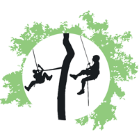 Logo canopy en forêt